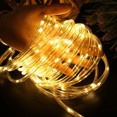 Luces de cuerda con enchufe y tubo pequeño, tamaño lápiz de 6 mm, 100 luces LED