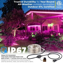 Pink LED Outdoor Waterproof Rope Light, Exterior Lighting, 10′ 25′ 50′ 100’ft