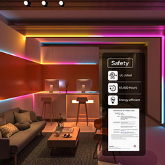 WS2811 Dual IC RGBCCT FCOB COB LED Strip,Ul Listed High Density Chasing IC RGB L