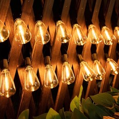 Outdoor Led String Light Plug in 50FT LED Lights with 25 Bulbs ST38 Shatterproof