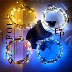 50-100 LEDs Battery Operated Mini LED Copper Wire String Fairy Lights W/ Remote