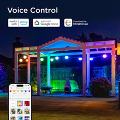 Vibe Sphere 57Ft Outdoor String Lights, 12 RGBWIC Bulbs, Smart App Compatible