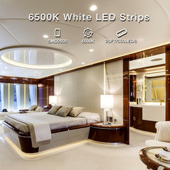 20ft Dimmable White LED Strip Light 6500K Daylight Under Cabinet Kitchen 12V