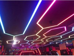 Black Surface Silicone LED Neon Strip Lights 10*10mm 12V / 24V Dotless Light