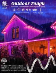 Pink LED Outdoor Waterproof Rope Light, Exterior Lighting, 10′ 25′ 50′ 100’ft