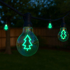 Festive Living LED Decorative Filament Bulb G80 Globe E26 Base 1W Clear Glass