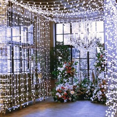 100-800 Twinkle Christmas Lights LED Fairy String Lamp Indoor Outdoor Home Decor