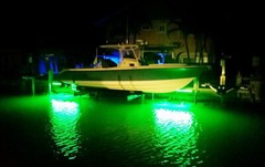 Bright 12V 16.4ft Green 2835 RGB Waterproof SMD 300 LED Flexible Strip light USA