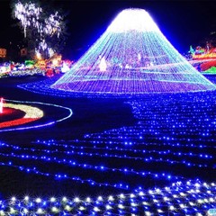 100-800 LED Twinkle Fairy String Lights Christmas Tree Wedding Patio Xmas Decor