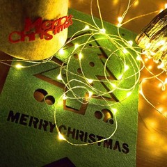 20/100/200 LED Christmas Tree Fairy String Party Lights Xmas Wedding with Remote