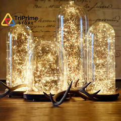 Lighting EVER Plug in Fairy Lights with Switch 66 ft, Warm White 2700-3000K