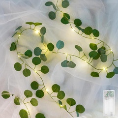 Fake Vines with Lights Battery Operated, 20 LED 6.56FT Eucalyptus Garland Fairy