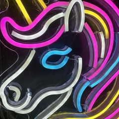 Unicorn LED Neon Light USB Cable Kids Adults Rainbow