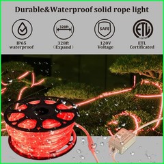 Red LED Rope Lights with Remote, Cuttable Connectable Flexible Tube Lights 8Mode