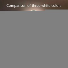WW/NW/CW/RGBCCT/RGBW/RGBWW 840LEDs/m Cob Led Strip Light Flexible Dimmable 5-20M