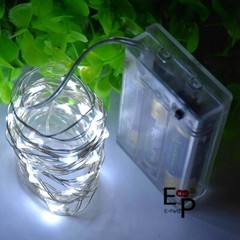 50-100 LEDs Battery Operated Mini LED Copper Wire String Fairy Lights W/ Remote
