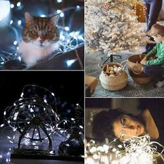 LED Twinkle String Lights Fairy Light Copper String Lights For Christmas Party