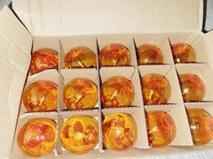 15 Pack LED G40 Plastic Filament Outdoor Globe Replacement Bulbs, Orange