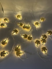 Diwali – String Lights Multicolor Lighted Divas 20 Lights – Brand New!
