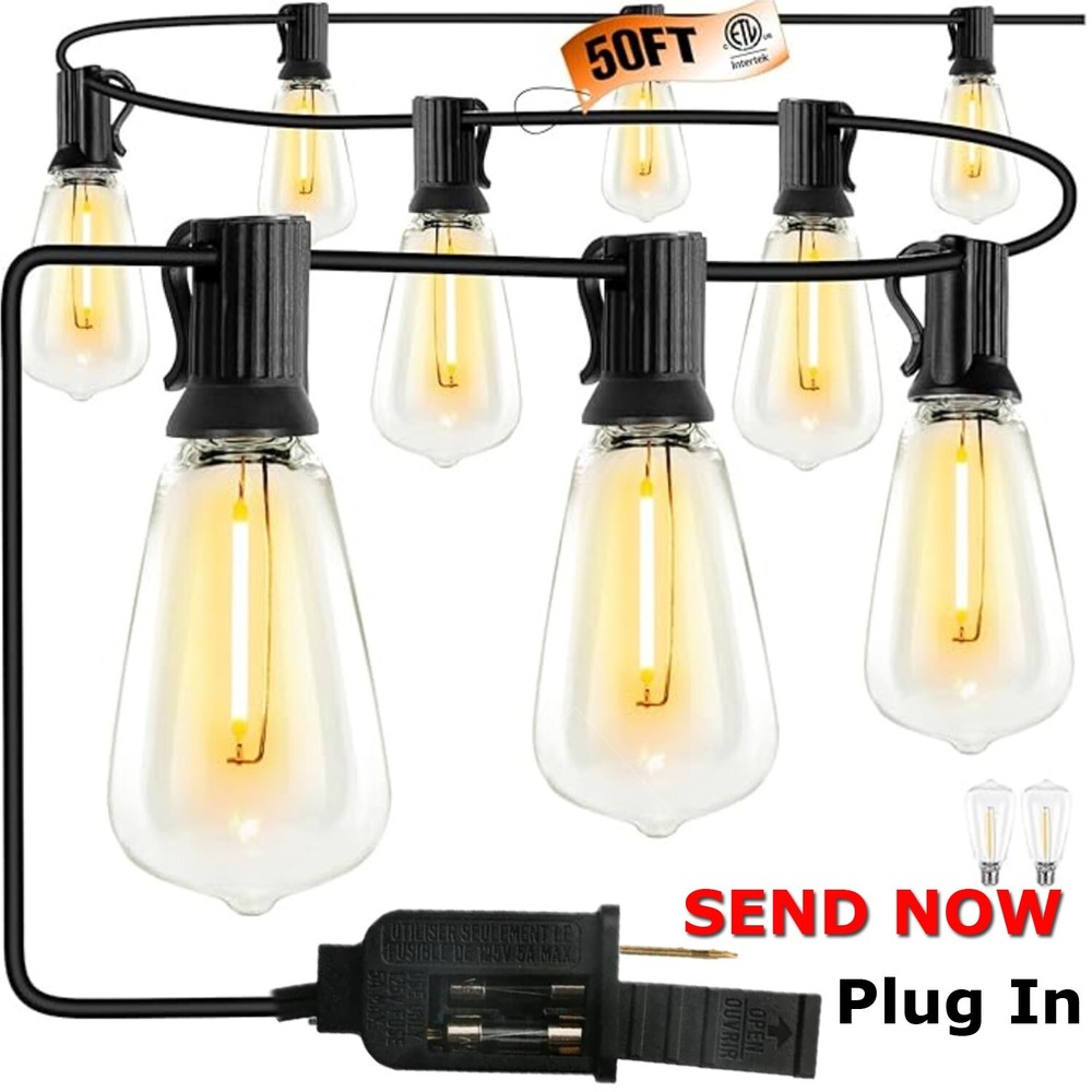 25-Light 50 ft. Indoor/Outdoor String Light with E12 2700K Warm White 20-Watts