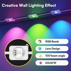 LED Permanent Outdoor Lights 60M, 24V Bluetooth RGB with APP & Remote Control