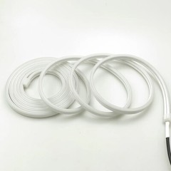 12V 24V 220V Double-side RGB LED Neon Rope Strip Waterproof Commercial DIY Light