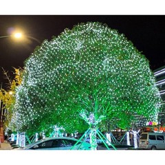 800 LED Fairy String Lights Home Net Curtain Mesh Christmas Party Wedding Decor