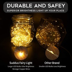 USB Twinkle LED String Fairy Lights 200/300LED Copper Wire Party Decor W/ Remote