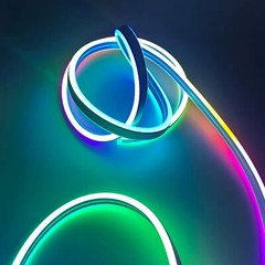 12V 24V 220V Double-side RGB LED Neon Rope Strip Waterproof Commercial DIY Light