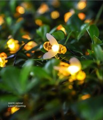 LED Solar String Lights Outdoor Garden Yard Decor Lamp Waterproof Fairy Light