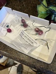 GRAPEVINE GARLAND Glass GRAPE CLUSTER Wine Decor Lot Of 3 IOB Indoor/outdoor VTG