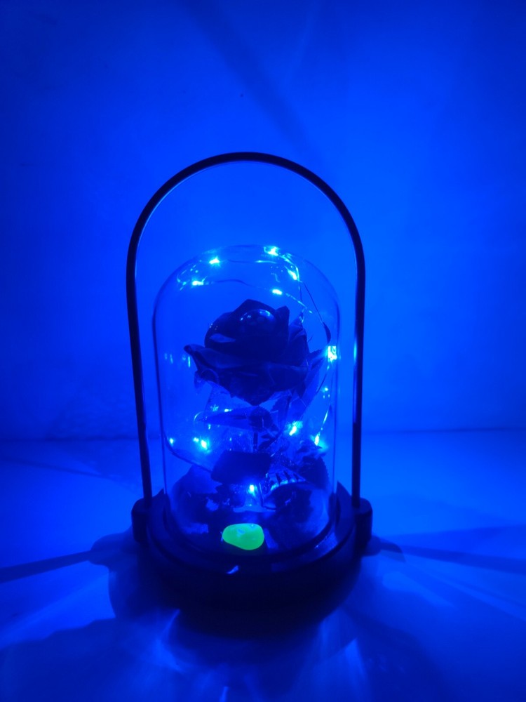 Halloween Rose Ghost Eye Lamp Portable Pendulum Eyeball Glass Dome New