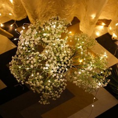 10~30M USB LED String Lights Garland Light Waterproof Fairy Lights Party Decor