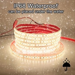 LED Strip Light 12V IP68 Waterproof SMD 2835 For Outdoor Swimming Pool Lighting