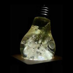 EP LIGHT 3 Pack Flower Bulbs LED House Lights | Smoke effect LED light