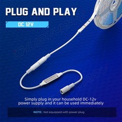 16ft BLUE 2538 SMD 300 LED Rope Tape Lights Waterproof IP65 DC12V+24 Key Remote