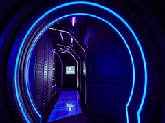24V 16.4ft IP67 Waterproof Silicone LED Flexible Outdoor Strip Neon Rope Light