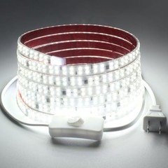 16.4FT LED Strip Light AC 110V-120V LED Rope Lights 16.4ft Cold White 6000K