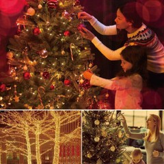 2 Sets 20-100 LED String Fairy Lights Copper Wire Battery Powered Waterproof