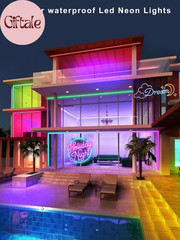 100Ft LED Neon Rope Lights with App and Remote Control, IP65 Waterproof Neon Str