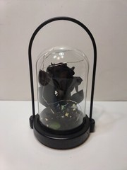 Halloween Rose Ghost Eye Lamp Portable Pendulum Eyeball Glass Dome New