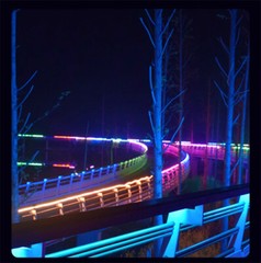 12V 24V 220V Double-side RGB LED Neon Rope Strip Waterproof Commercial DIY Light