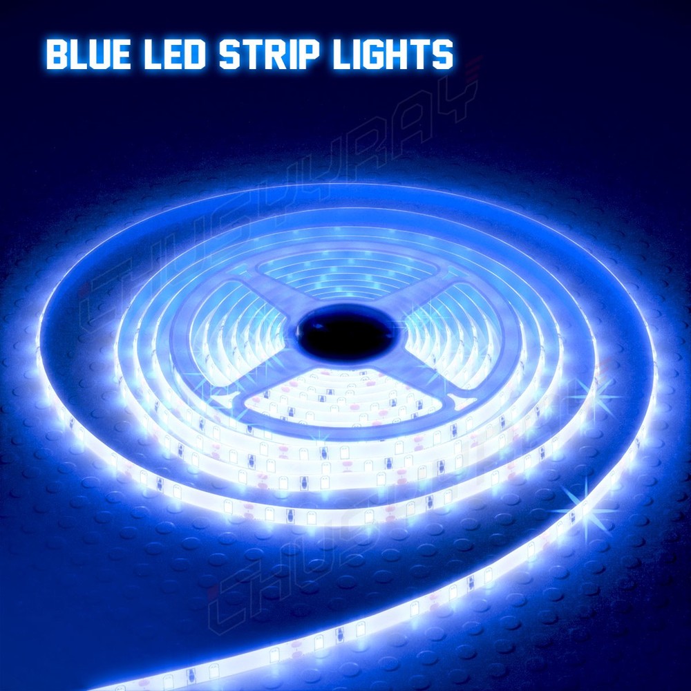 16ft BLUE 2538 SMD 300 LED Rope Tape Lights Waterproof IP65 DC12V+24 Key Remote