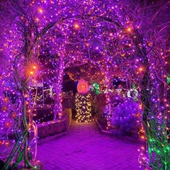 300 LED Orange&Purple Halloween Lights 99FT Connectable 8 Lighting Modes with M
