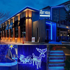 39FT Solar Rope Lights Outdoor Waterproof Blue LED PVC Tube Fairy String Lights