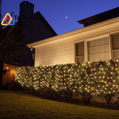Lighting EVER Plug in Fairy Lights with Switch 66 ft, Warm White 2700-3000K