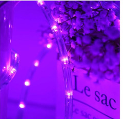 100 Feet 720LED Rope Lights 2-Wire Low Voltage Waterproof Rope Lights Indoor&Out