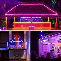 110V Flexible LED Neon Rope Lights Waterproof Strip Light for In/Outdoor Home