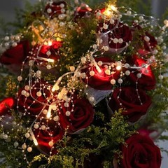 Christmas Decorations 13FT Pearl Garland String Lights 40LED Festive Lighted …