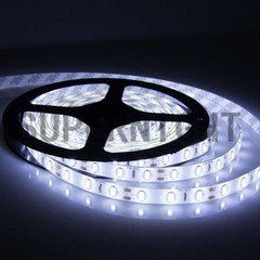 5M 3528/5050 SMD Cool/Warm White RGB / RGBW Non / Waterproof 300LEDs Strip Light